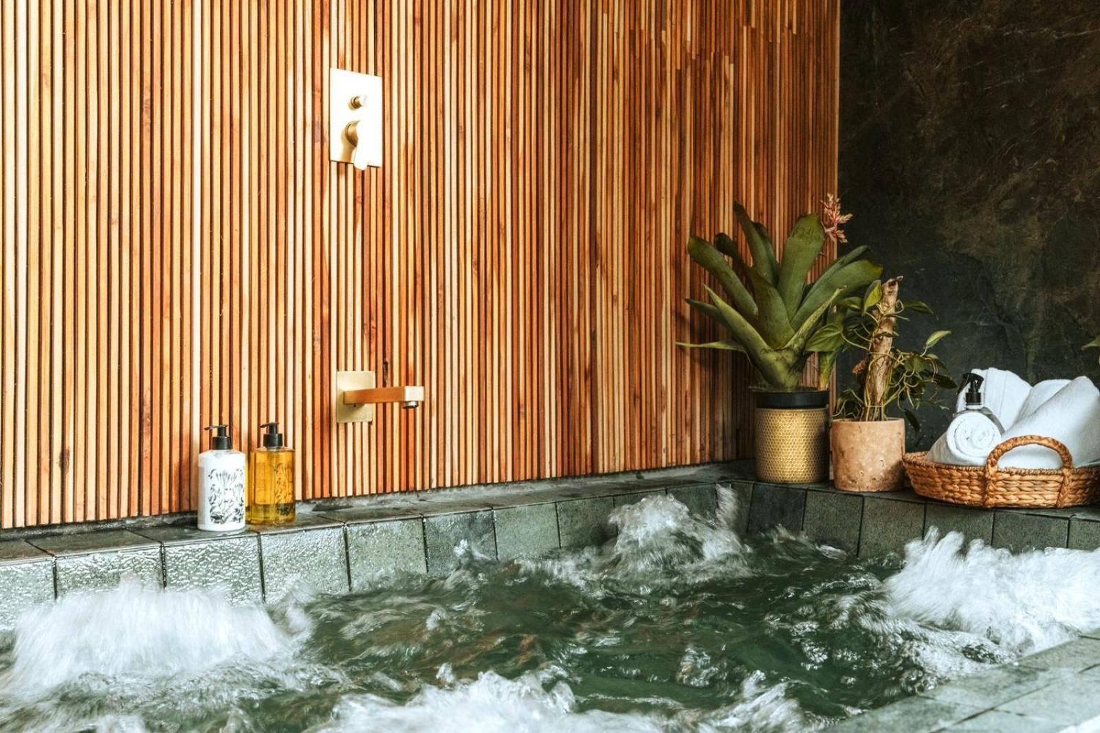 Selvario 36 Hotel Медельин Экстерьер фото